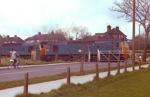 2169537524 f396a13e1a b.jpg