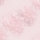 fom01tile1