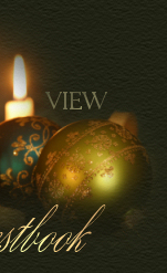 vintagechristmas view.jpg