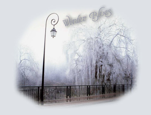 winterblues main title.jpg