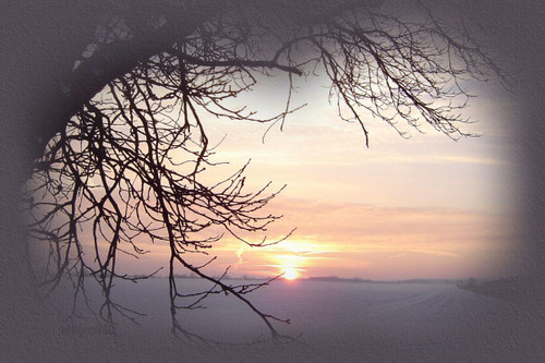 mdwinter03top.jpg