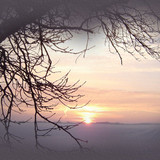 mdwinter03top