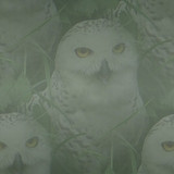 mdbb02tile1
