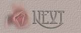 velvet next.jpg