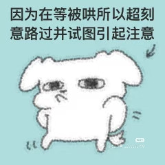 Camera XHS 17651695583641040g00831fnun04i7e2g5og8u92gjuhc5ffqcl8.jpg