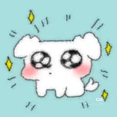 Camera XHS 17651696327711040g00831aclagbkmq6g5og8u92gjuhcajq1cjg.jpg