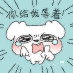 Camera XHS 17651695955651040g2sg31cngc11m0cdg5og8u92gjuhcj3qct5g.jpg