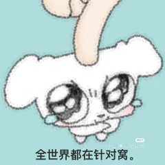 Camera XHS 17651694526681040g00831m7547a84u605og8u92gjuhcisqnsc0.jpg