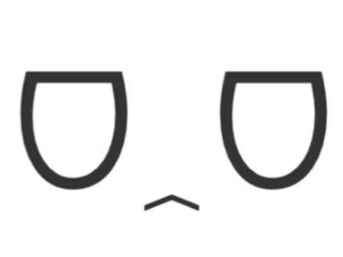 IMG 20251208 131434.jpg