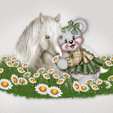 mdfriend05top