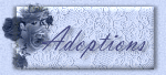 SVblangelsadoptions.gif