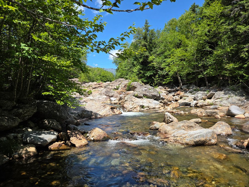 51 Ellis River.jpg