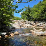 51 Ellis River