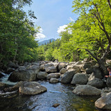 44 Andrea Fishing Pocket Water
