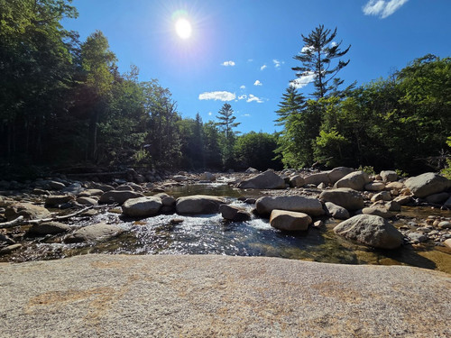 59 Rocky Branch Midday Sun.jpg
