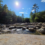 59 Rocky Branch Midday Sun