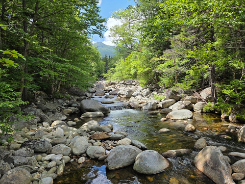 39 West Branch Peabody Flowing Down Mt Washington.jpg