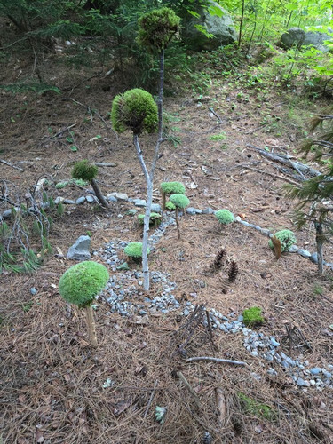 49 Wierdo In The Next Campsight Built A Fairy Land.jpg
