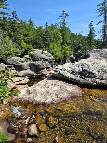 66 Screw Auger Falls, Bear River, Maine.jpg