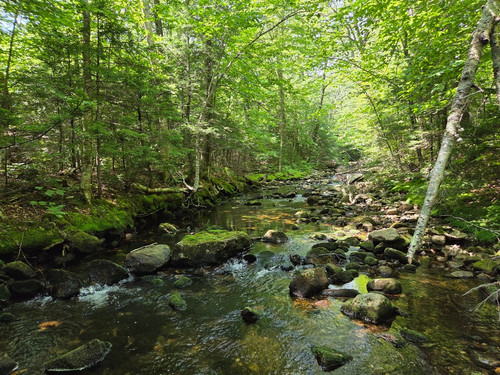 77 Bear River, Maine.jpg