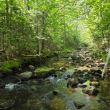 77 Bear River, Maine