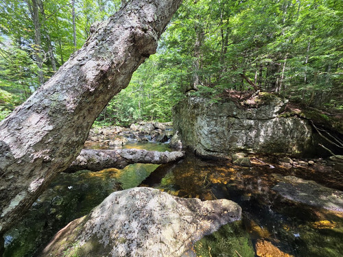 71 Bear River, Maine.jpg