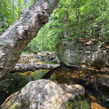 71 Bear River, Maine