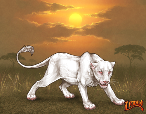 lion 794238335429.png