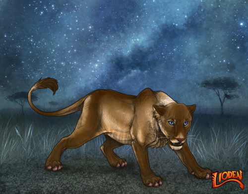 lion 794217533549.png