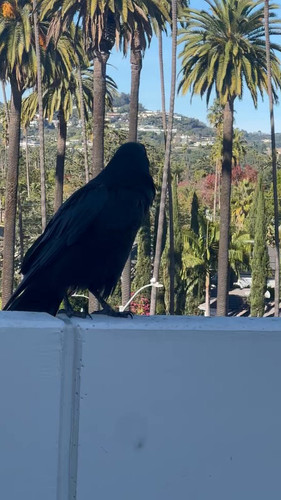 R WThpR7LXnT1NOg.jpg