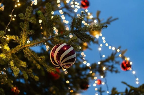 594969642 1227760625832918 2562852588597204970 n.jpg?stp=dst jpg s590x590 tt6& nc cat=100&ccb=1 7& n.jpg