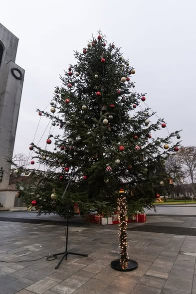 594976785 1227760272499620 214211109996484375 n.jpg?stp=dst jpg s590x590 tt6& nc cat=108&ccb=1 7& nc.jpg