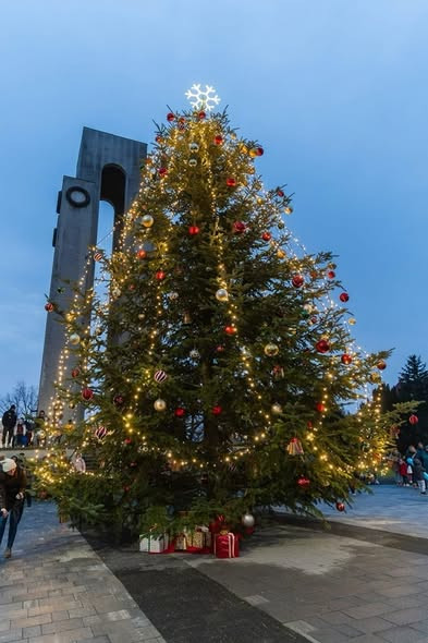 594886288 1227760455832935 8510999081953198359 n.jpg?stp=dst jpg s590x590 tt6& nc cat=103&ccb=1 7& n.jpg