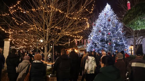 594964936 1366803022123339 797397655376187054 n.jpg?stp=dst jpg s590x590 tt6& nc cat=108&cb2=99be929.jpg