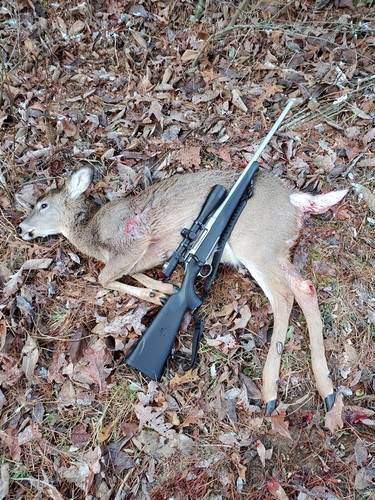 16 Rifle 12 4 19.jpg