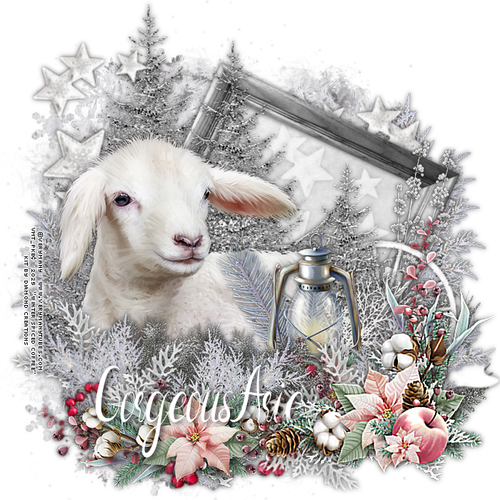 12 05 25 ATP Verymany Gorgeous Arie