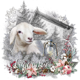 12 05 25 ATP Verymany Gorgeous Arie