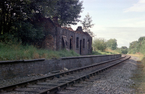 32000830043 719e296d22 b.jpg