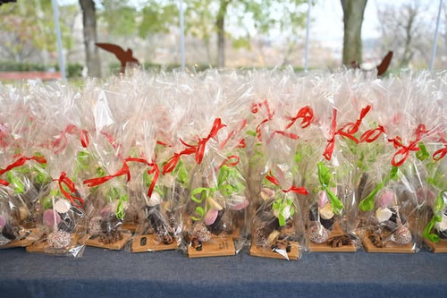 595116701 1398131258554597 9033405204631913738 n.jpg?stp=dst jpg s590x590 tt6& nc cat=105&ccb=1 7& n.jpg