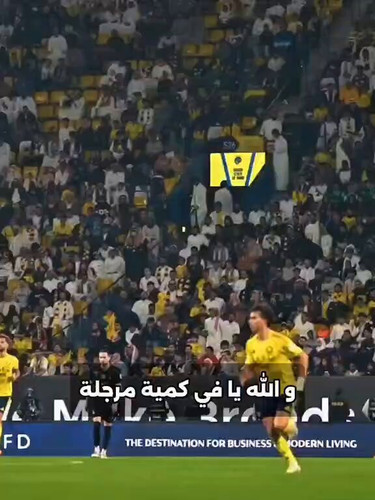 8LL8948XQ O8vHWr.jpg