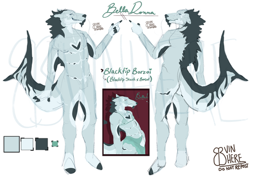 Old Ref Sheet.png