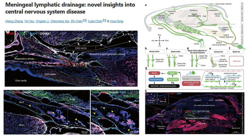 G TQcJ1WwAAP6C5?format=jpg.jpg