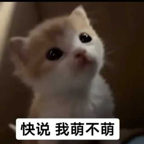 Screenshot 2026 01 11 18 03 52 856 com.xingin.xhs edit.jpg