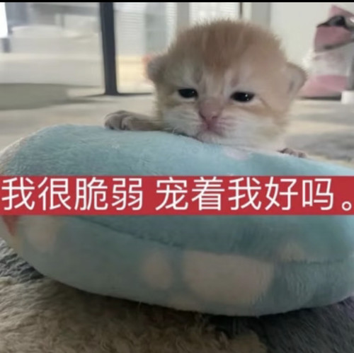 Screenshot 2026 01 11 18 03 39 809 com.xingin.xhs edit.jpg