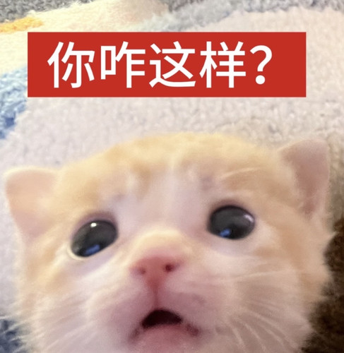 Screenshot 2026 01 11 18 09 58 714 com.xingin.xhs edit.jpg