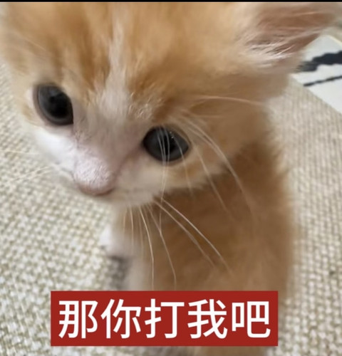 Screenshot 2026 01 11 18 04 42 904 com.xingin.xhs edit.jpg