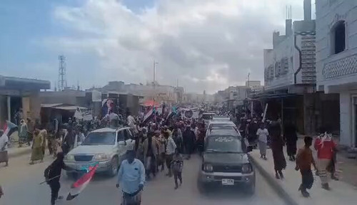 4uWtkcj7FRIs Vf8.jpg