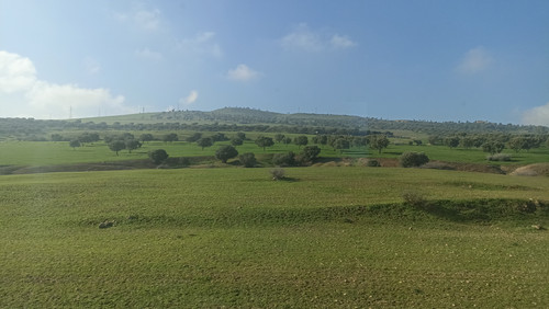 IMG 20260111 112906.jpg