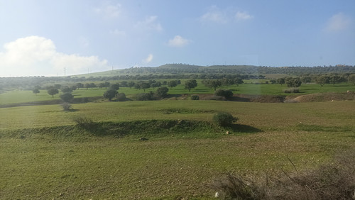 IMG 20260111 112904.jpg