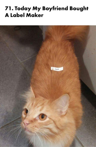 tumblr e35ee1d98f8ba37afe5761e3bf056d03 54396352 640.jpg